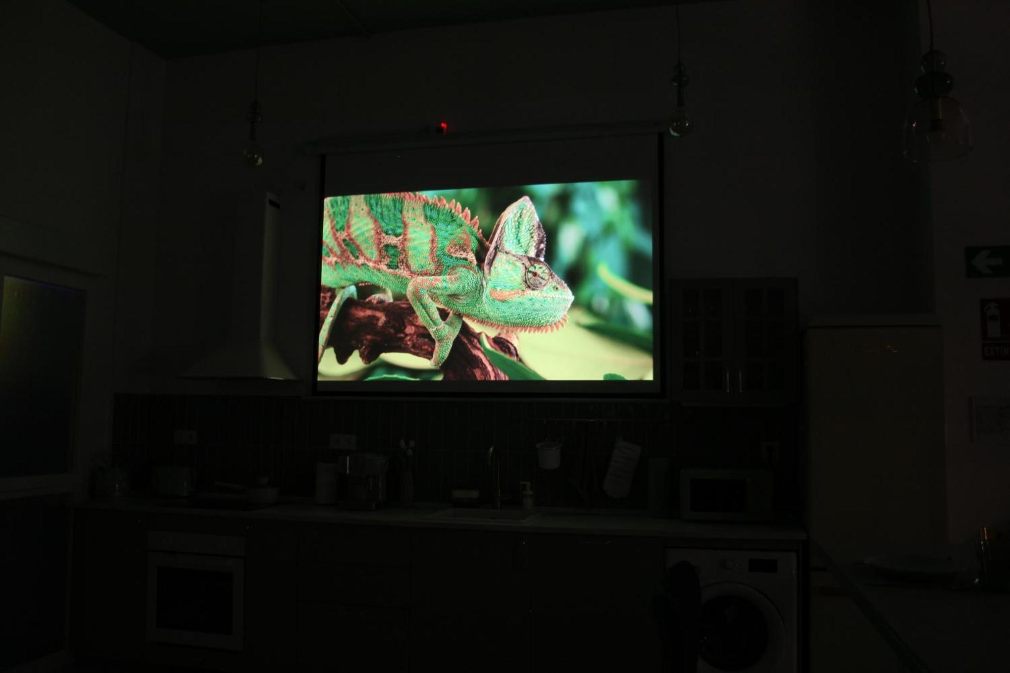 The Greenhouse マドリード エクステリア 写真